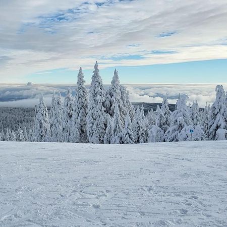 Chata Jeleni Drevenice S Vlastni Virivkou Horni Halze Eksteriør billede