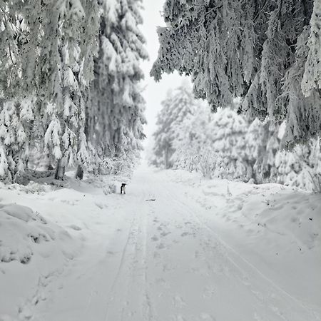 Chata Jeleni Drevenice S Vlastni Virivkou Horni Halze Eksteriør billede
